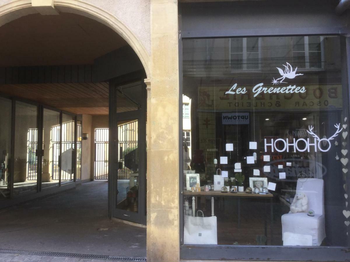 Les Grenettes2 Apartman Metz Kültér fotó